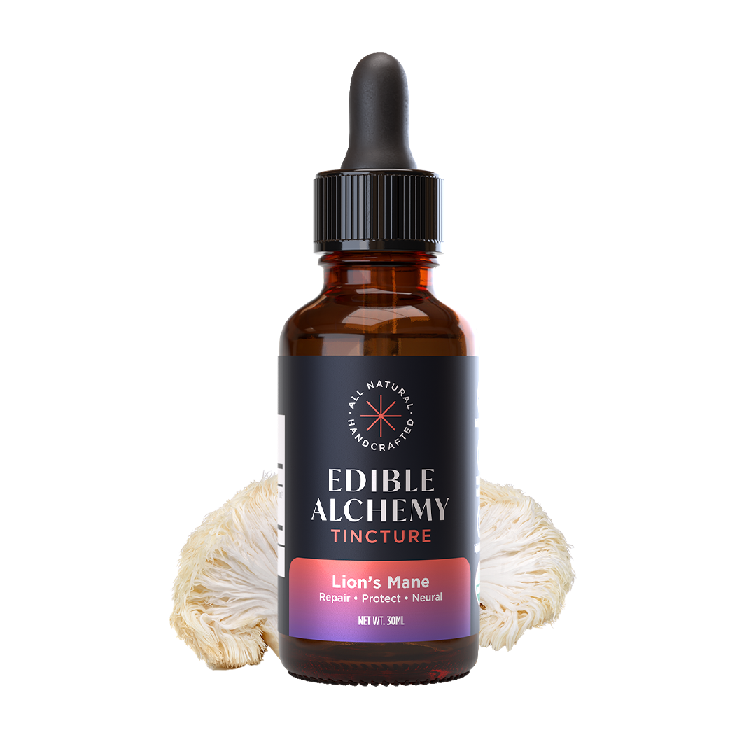 Organic Lion's Mane Extracted Mushroom Tincture