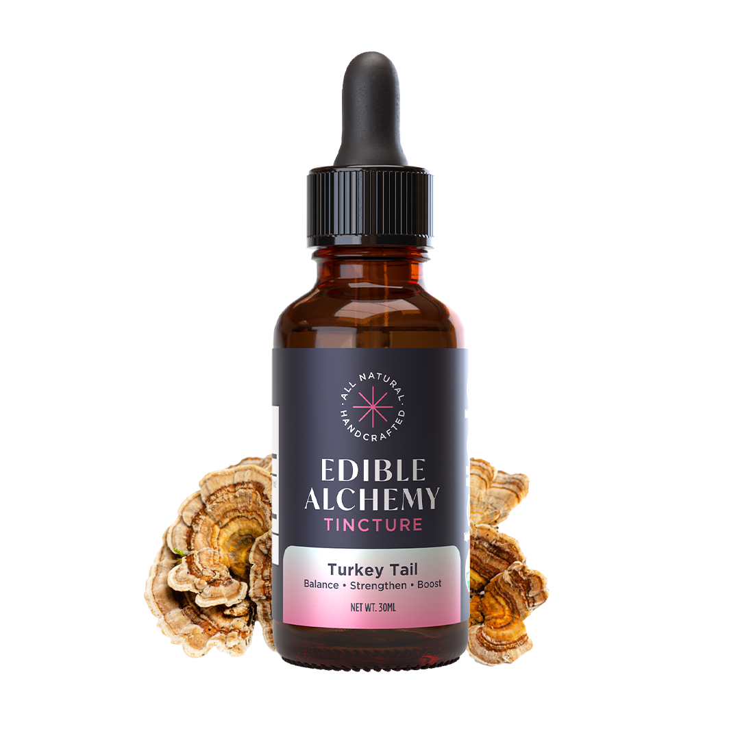 Turkey Tail Extracted Tincture