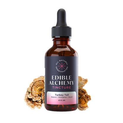 Turkey Tail Extracted Tincture